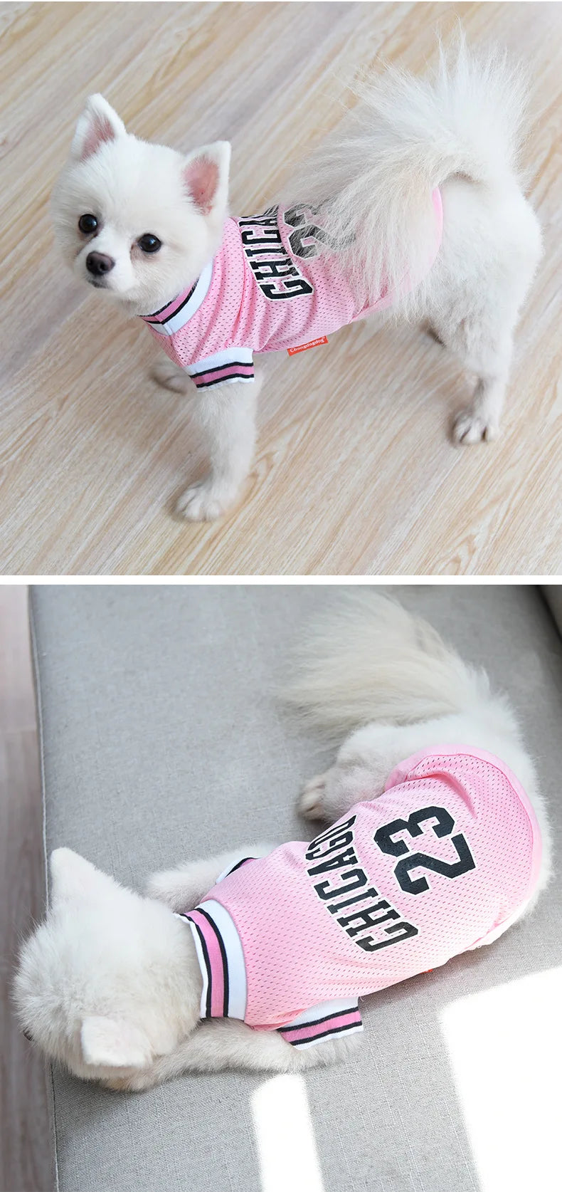 Mesh Sport Dog & Cat Jersey