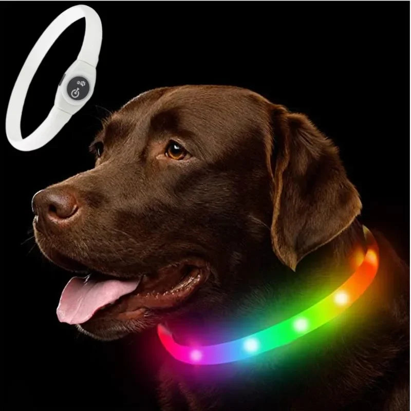 LED Luminous Dog Collar – USB Rechargeable Waterproof