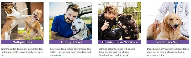 Calming Pheromone Collar