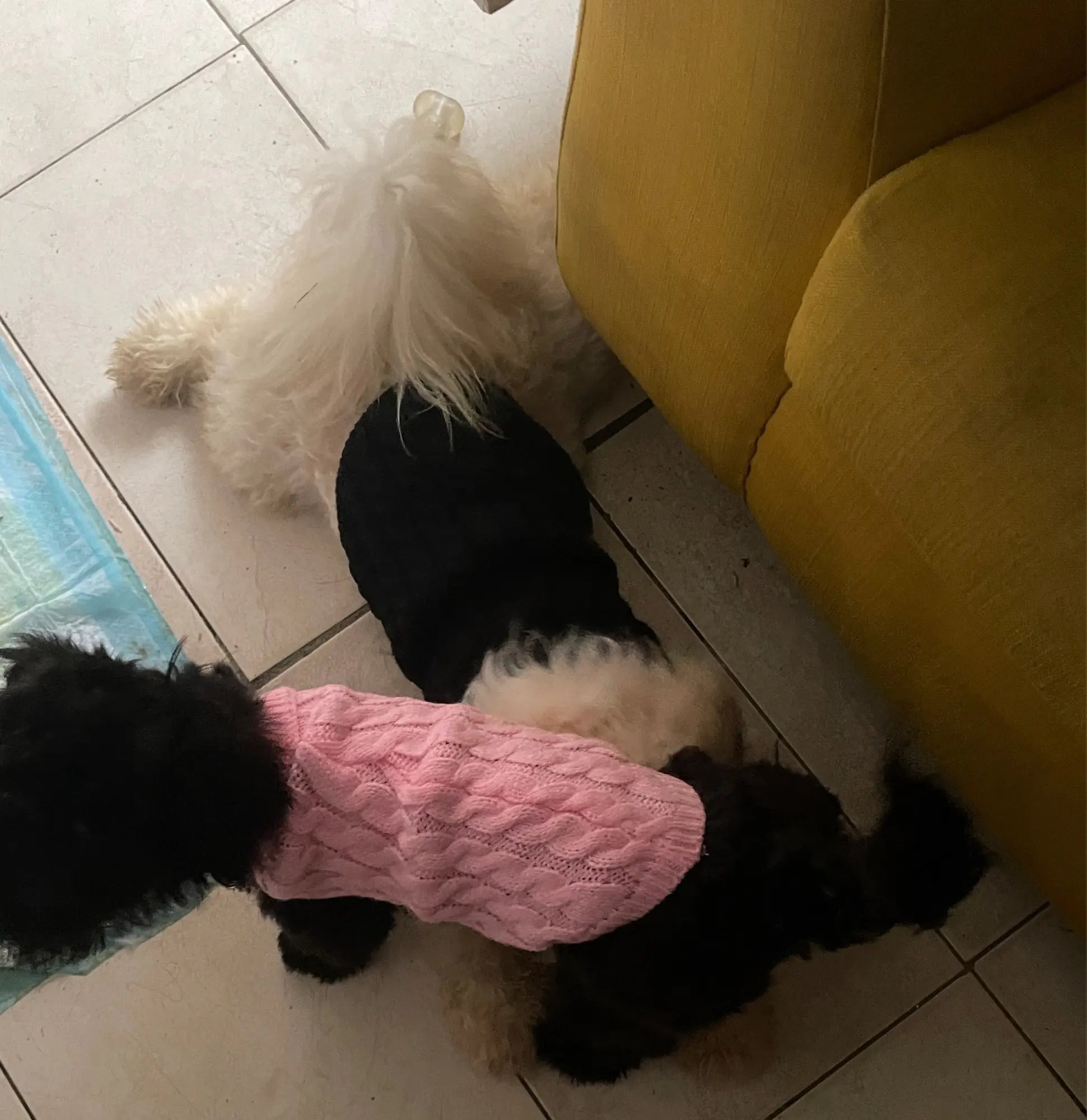 Knitted Dog & Cat Sweater