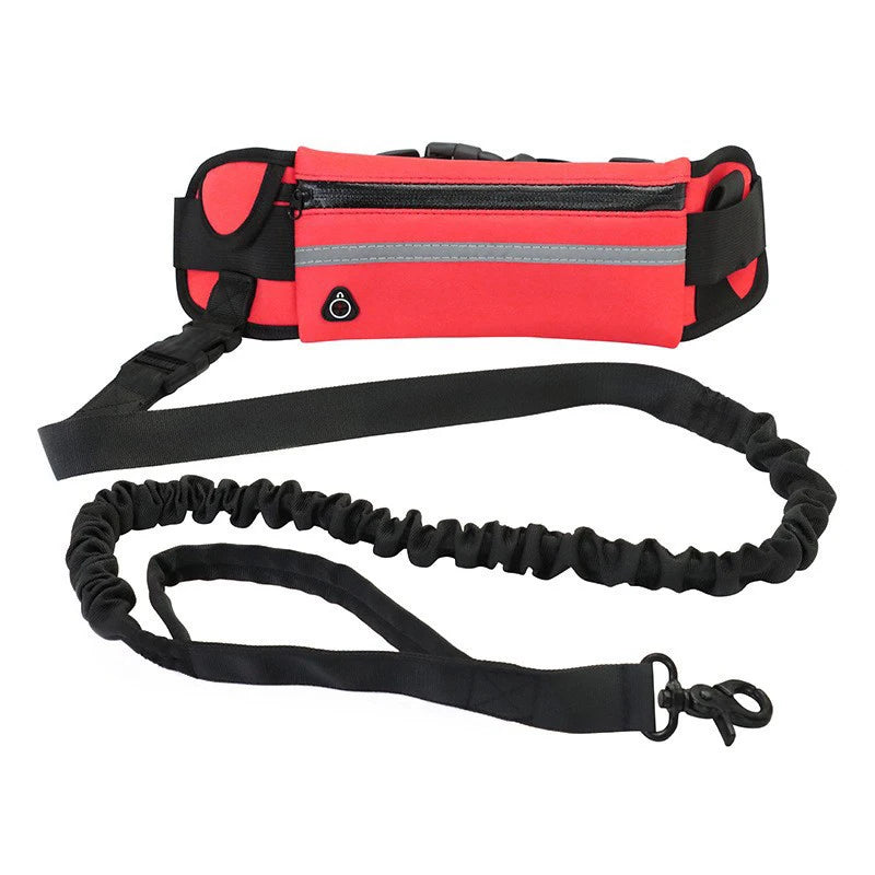 Hands-Free Dog Leash – Reflective Running & Walking Belt