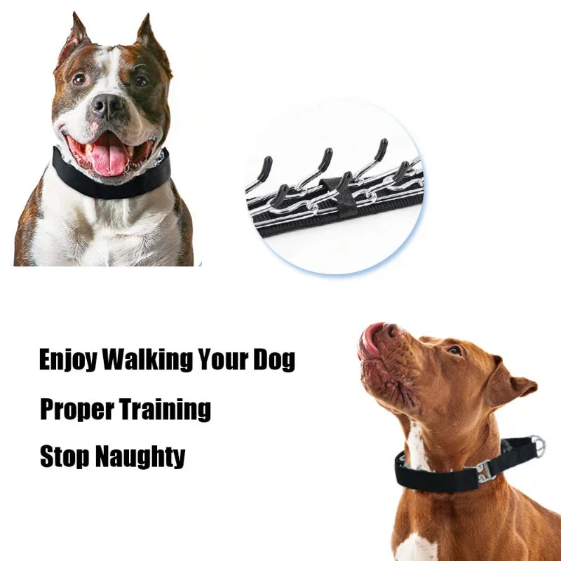 Adjustable Prong Training Collar for Dogs