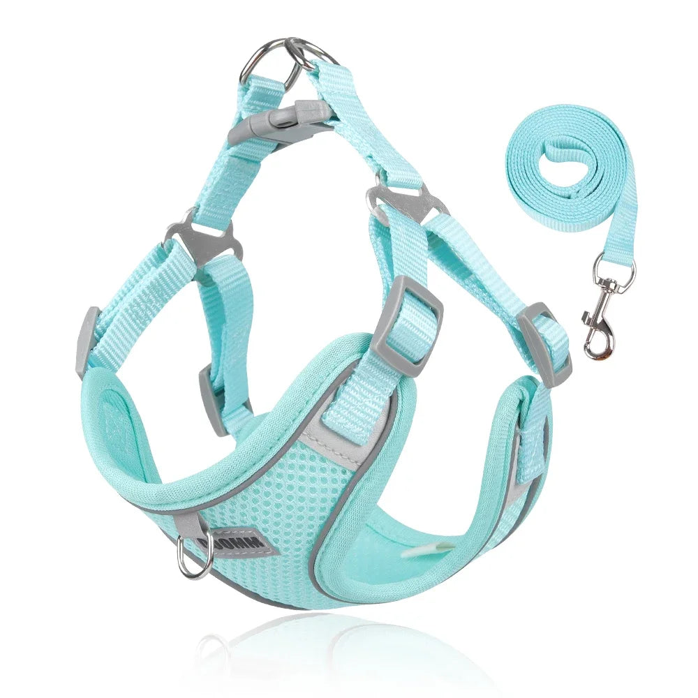 Reflective Dog Harness & Leash Set – Small & Medium Pets
