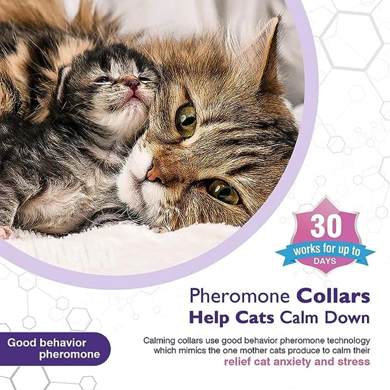 Calming Pheromone Collar