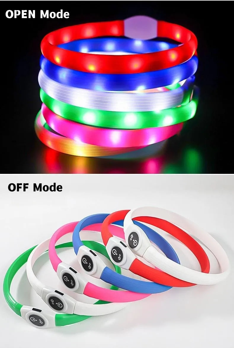 LED Luminous Dog Collar – USB Rechargeable Waterproof