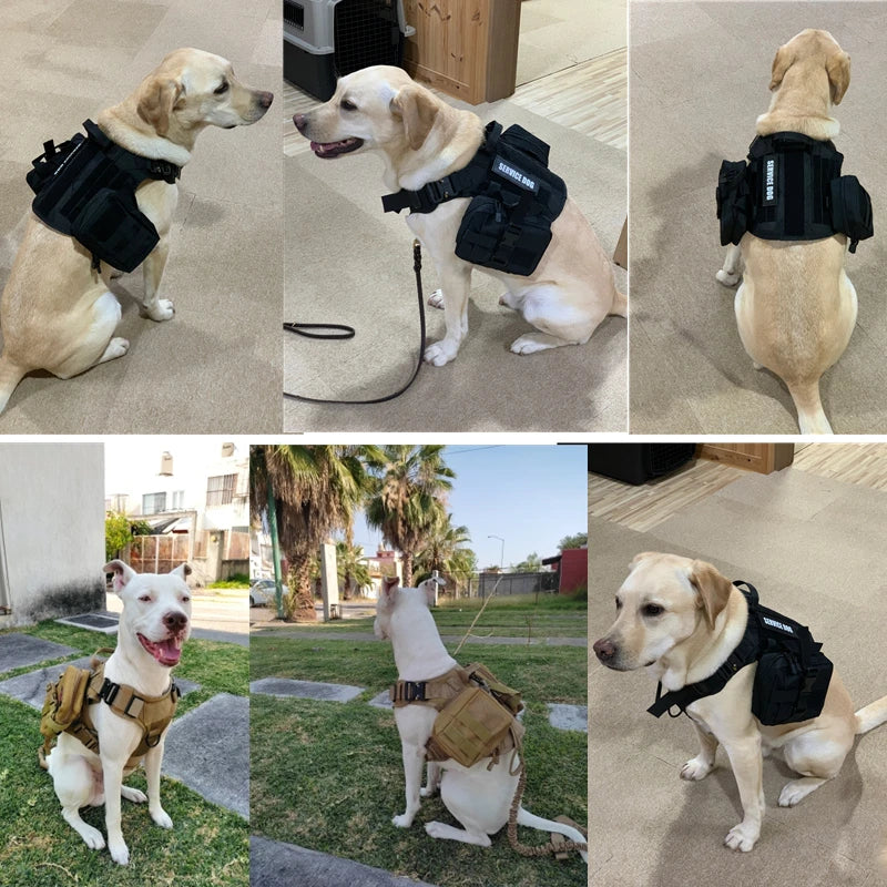 Tactical Dog Harness & Leash Set