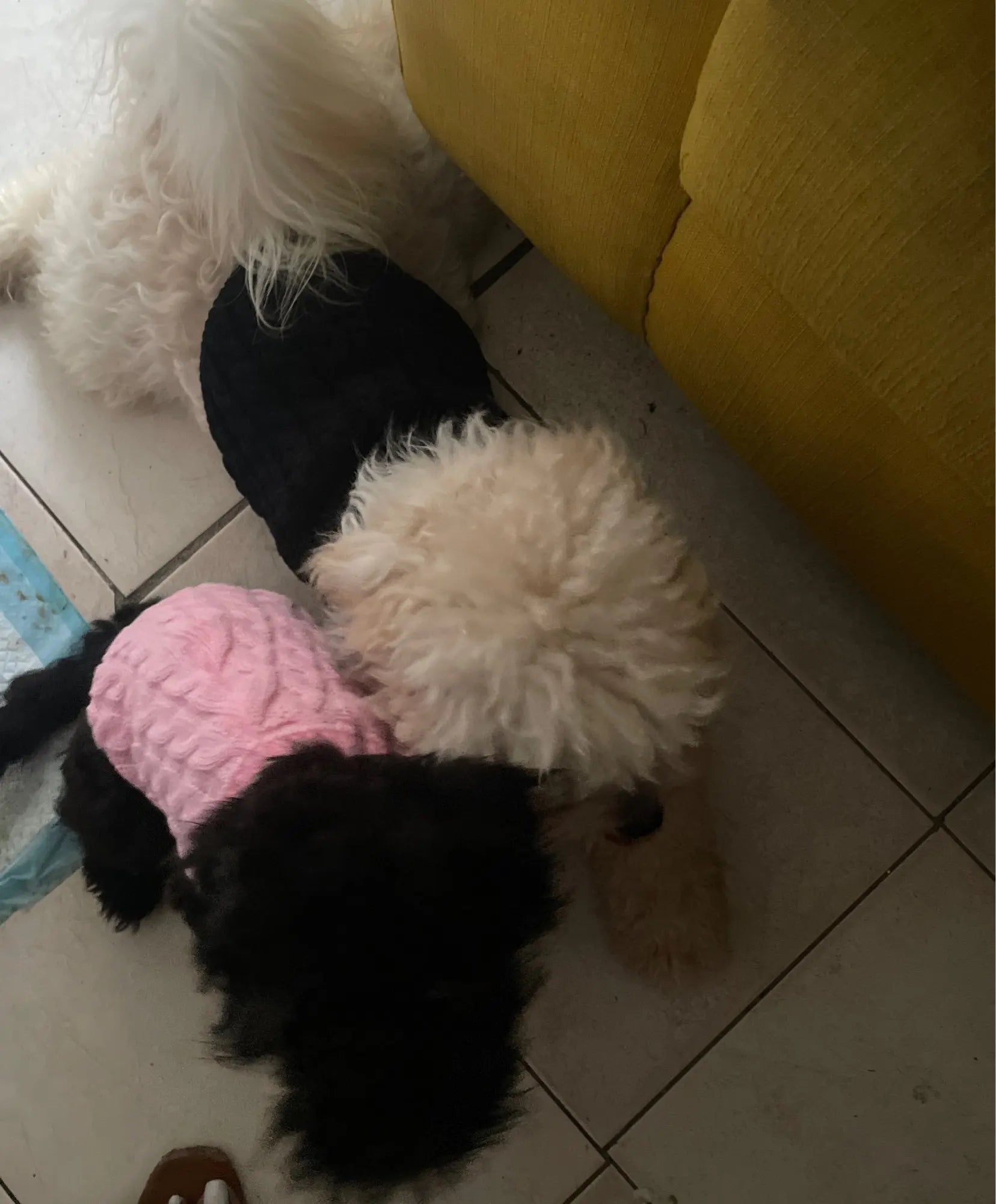 Knitted Dog & Cat Sweater