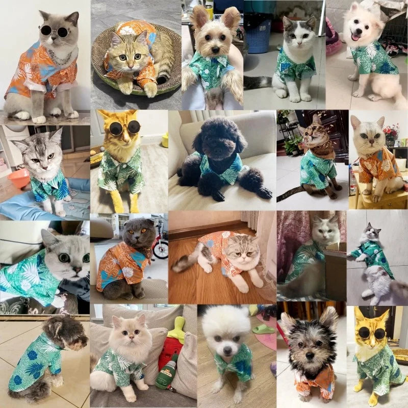 Hawaiian Style Pet Shirt – Summer Dog & Cat Beach Outfit
