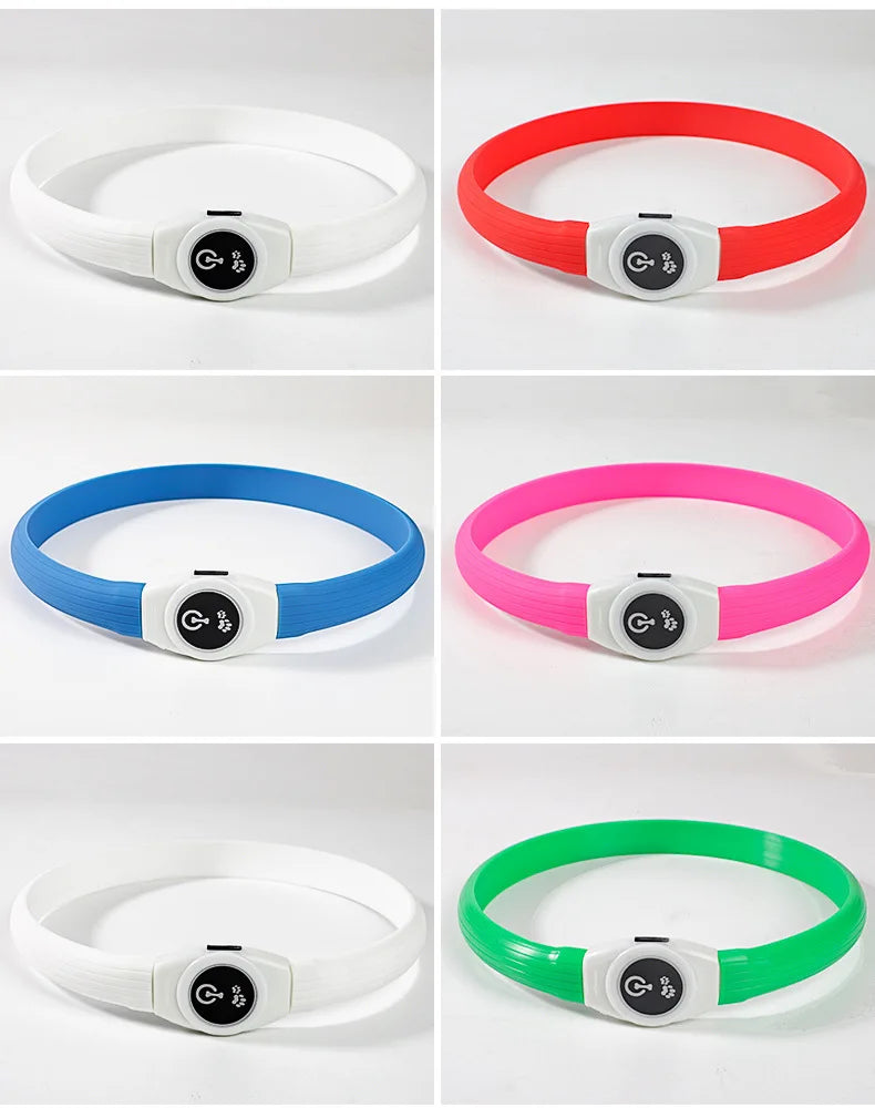 LED Luminous Dog Collar – USB Rechargeable Waterproof