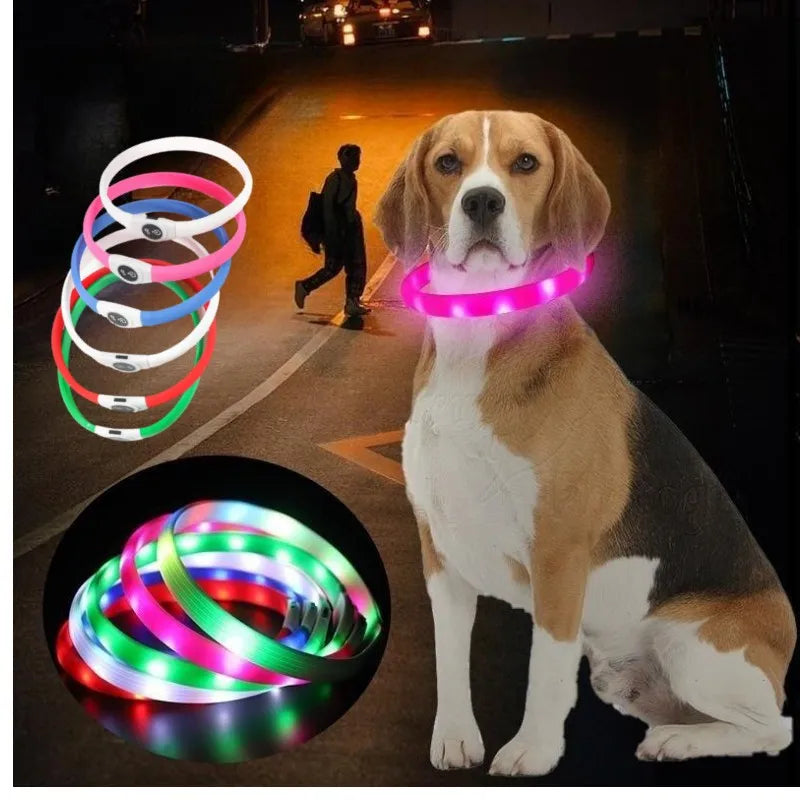 LED Luminous Dog Collar – USB Rechargeable Waterproof