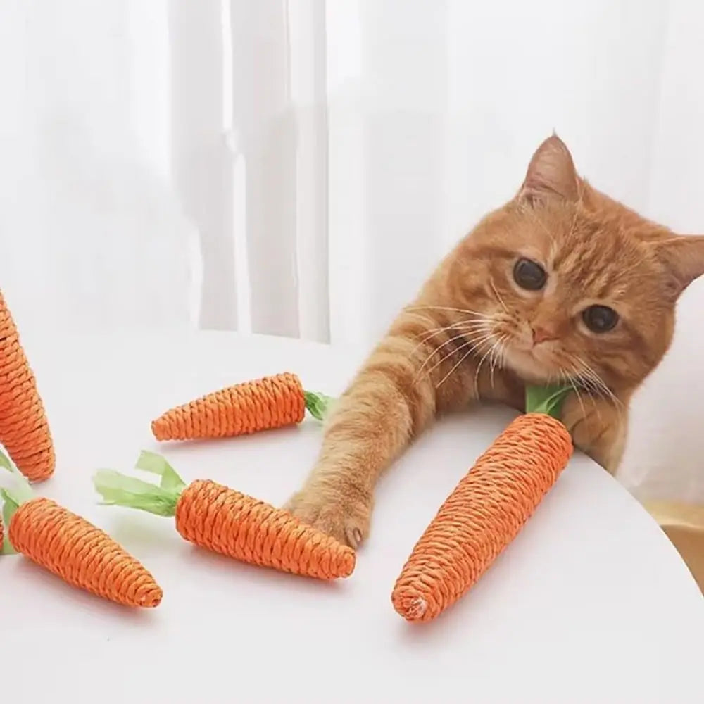 Cat Teething & Play Toy – Carrot Teaser Stick