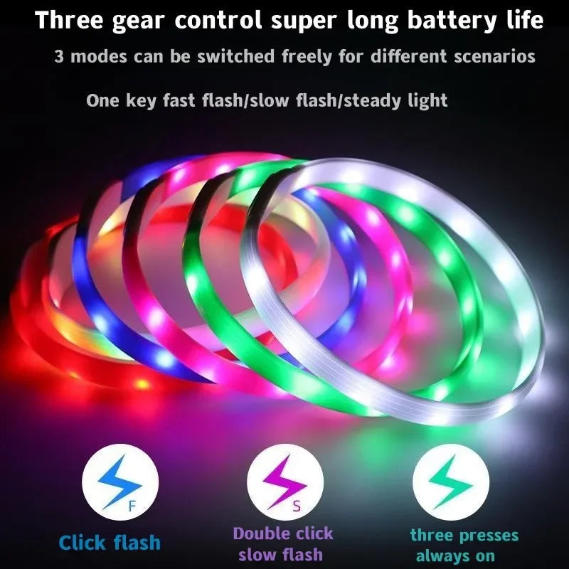 LED Luminous Dog Collar – USB Rechargeable Waterproof