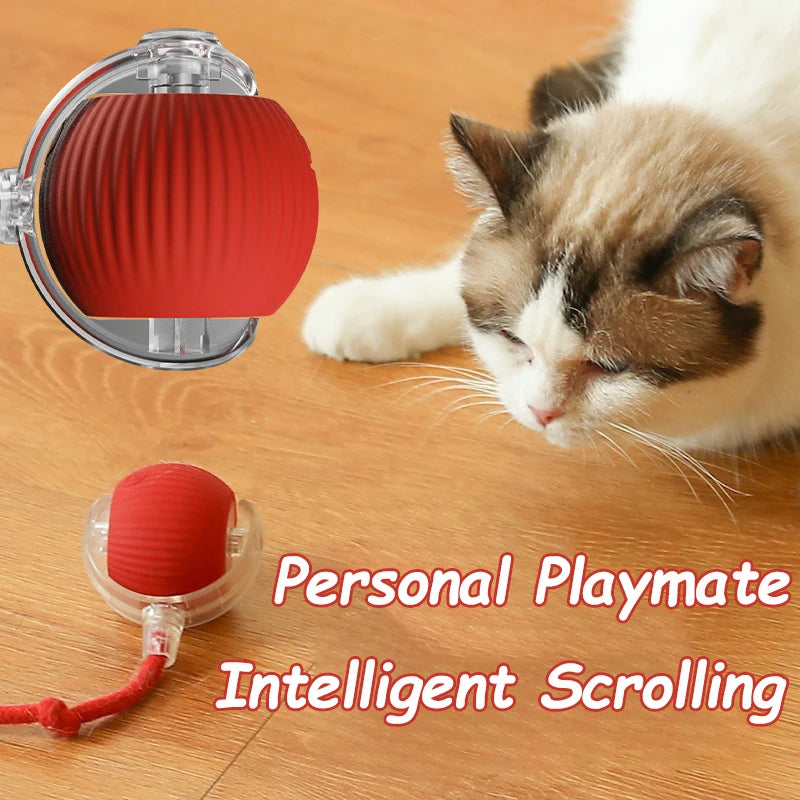 Automatic Rolling Cat & Dog Toy – Rechargeable Smart Ball