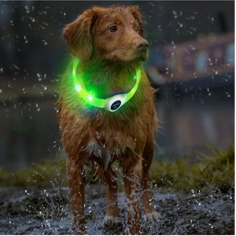 LED Luminous Dog Collar – USB Rechargeable Waterproof