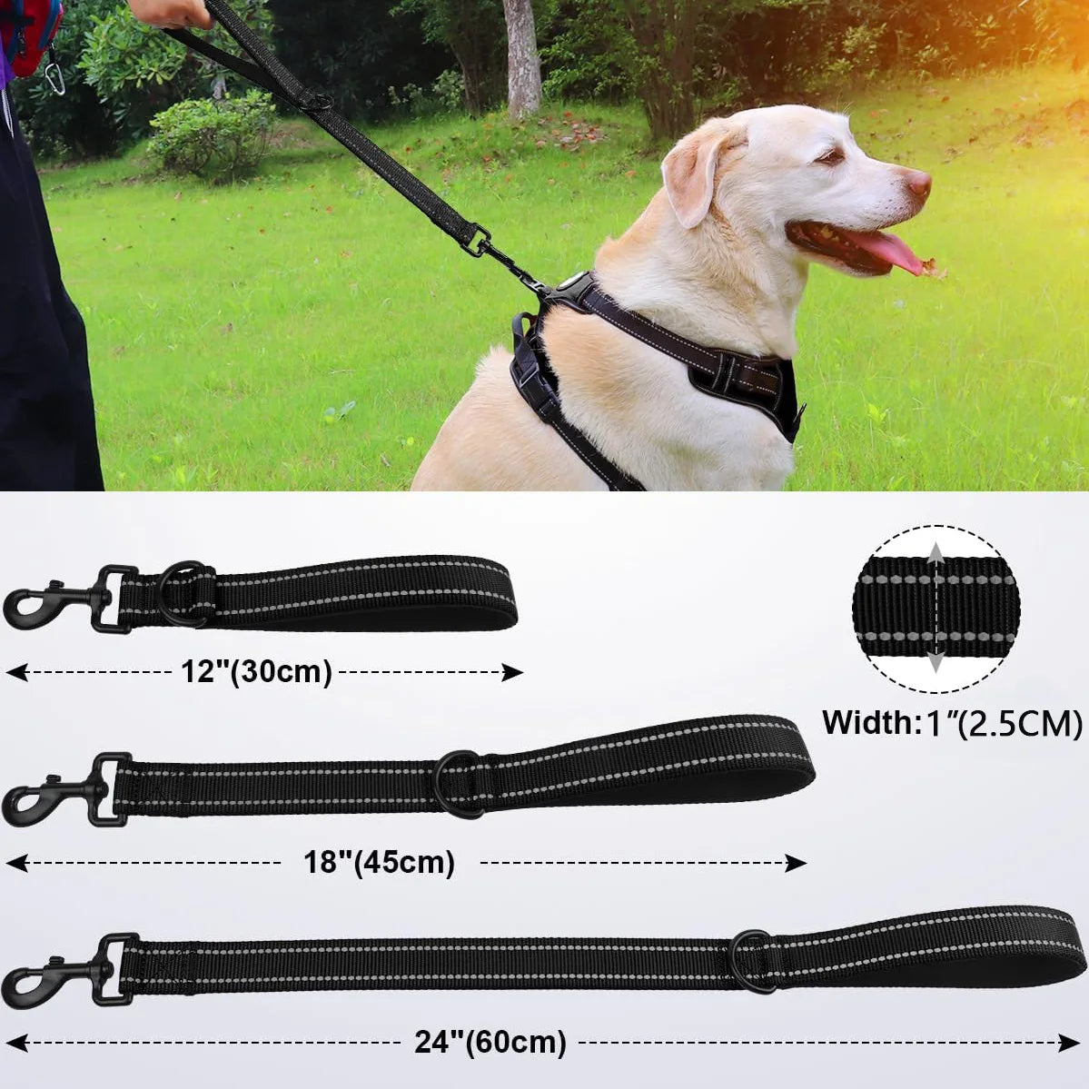 Taglory Short Dog Leash – Heavy Duty Nylon Lead