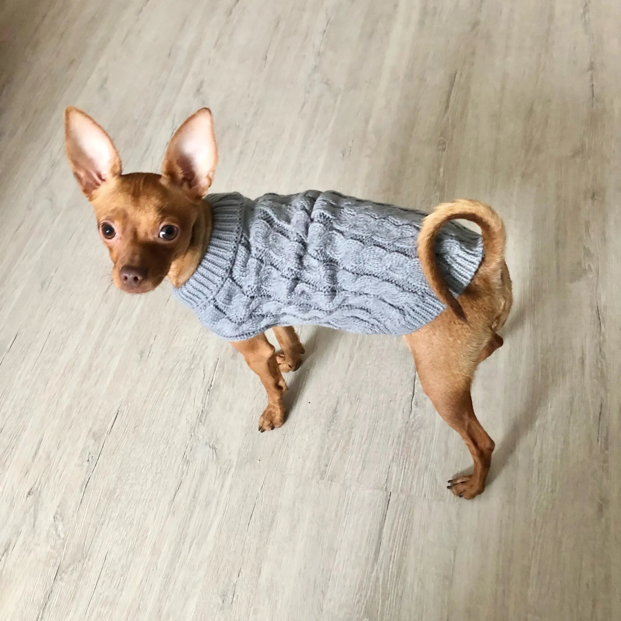 Knitted Dog & Cat Sweater