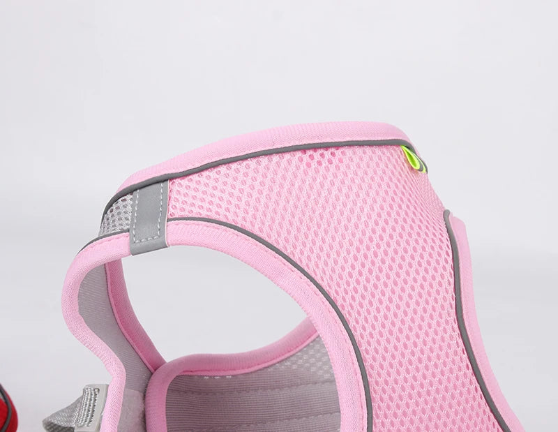 Adjustable Dog Harness & Leash Set – Small Dogs & Cats