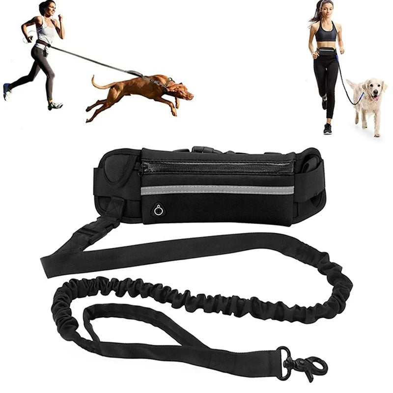 Hands-Free Dog Leash – Reflective Running & Walking Belt