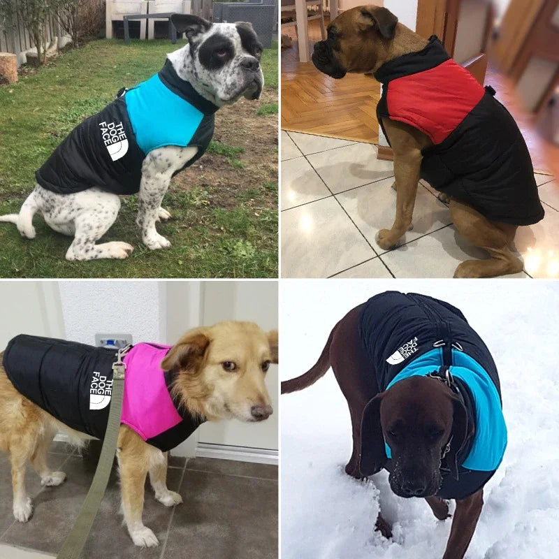 Waterproof Padded Dog Winter Jacket – Pet Coat