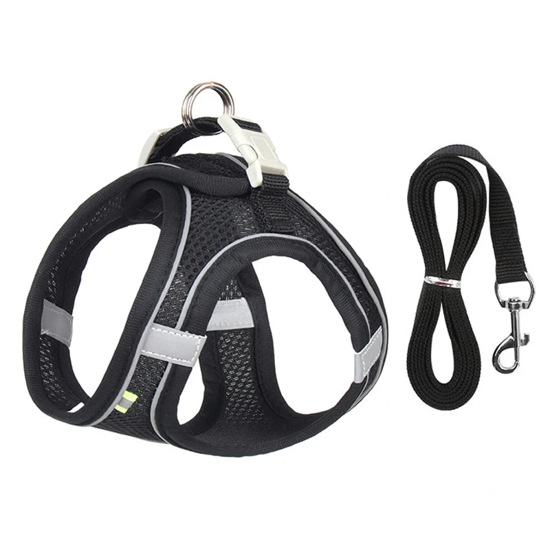 Adjustable Dog Harness & Leash Set – Small Dogs & Cats