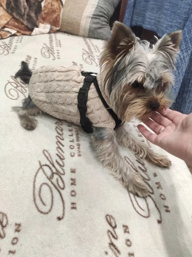 Knitted Dog & Cat Sweater