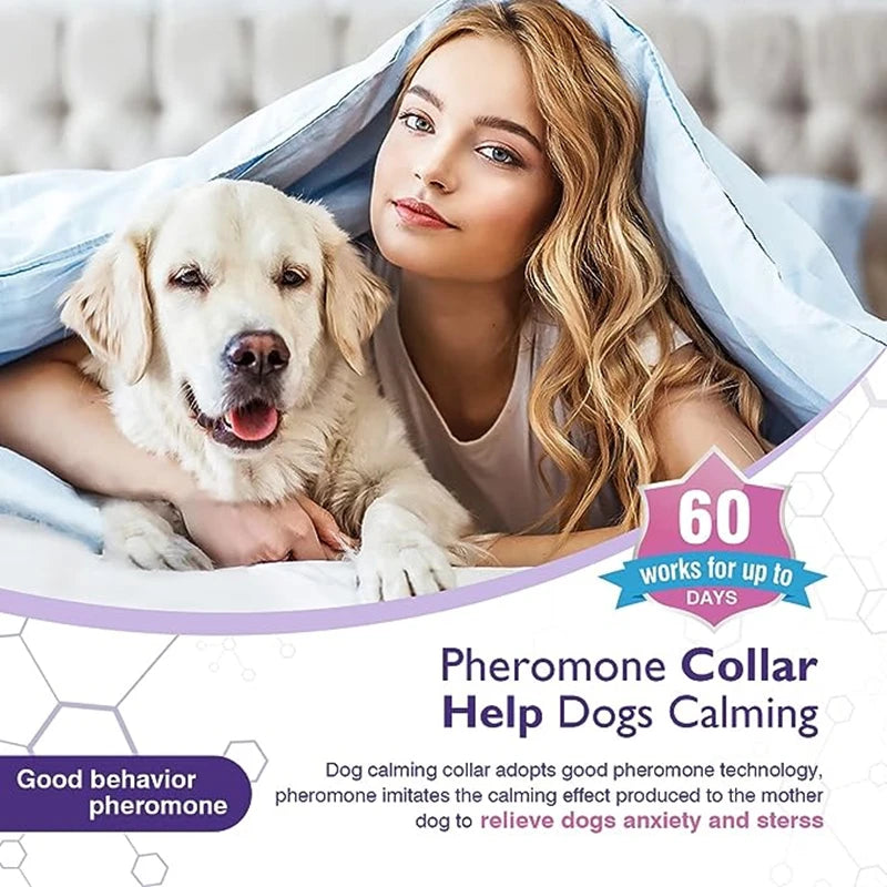 Calming Pheromone Collar
