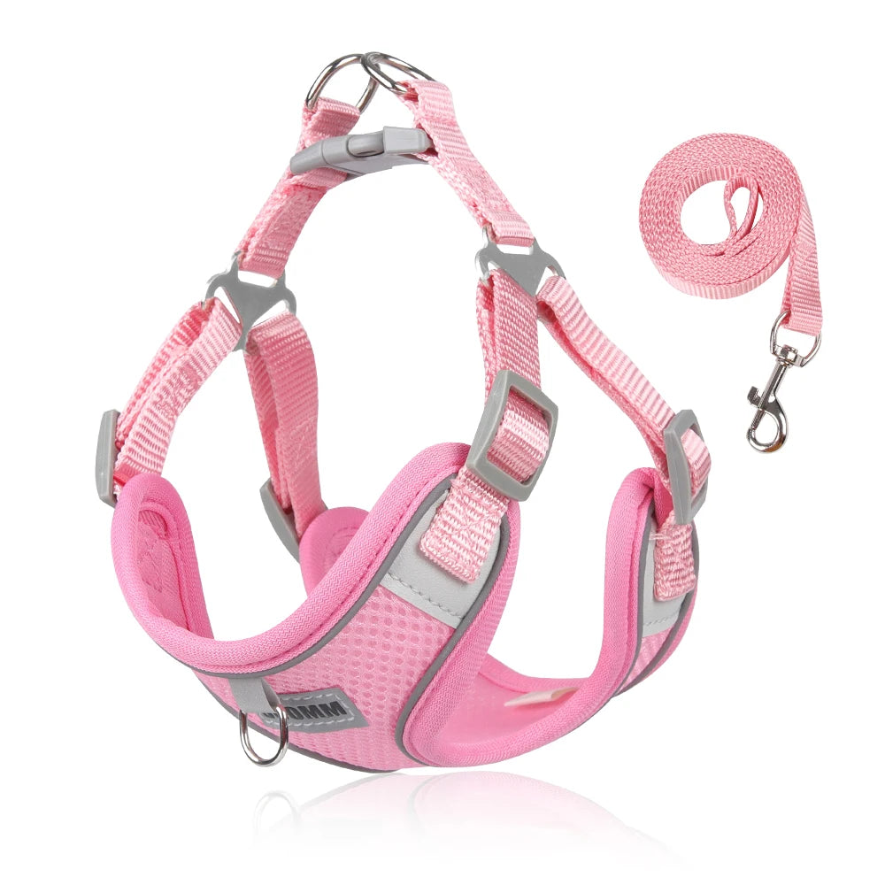 Reflective Dog Harness & Leash Set – Small & Medium Pets