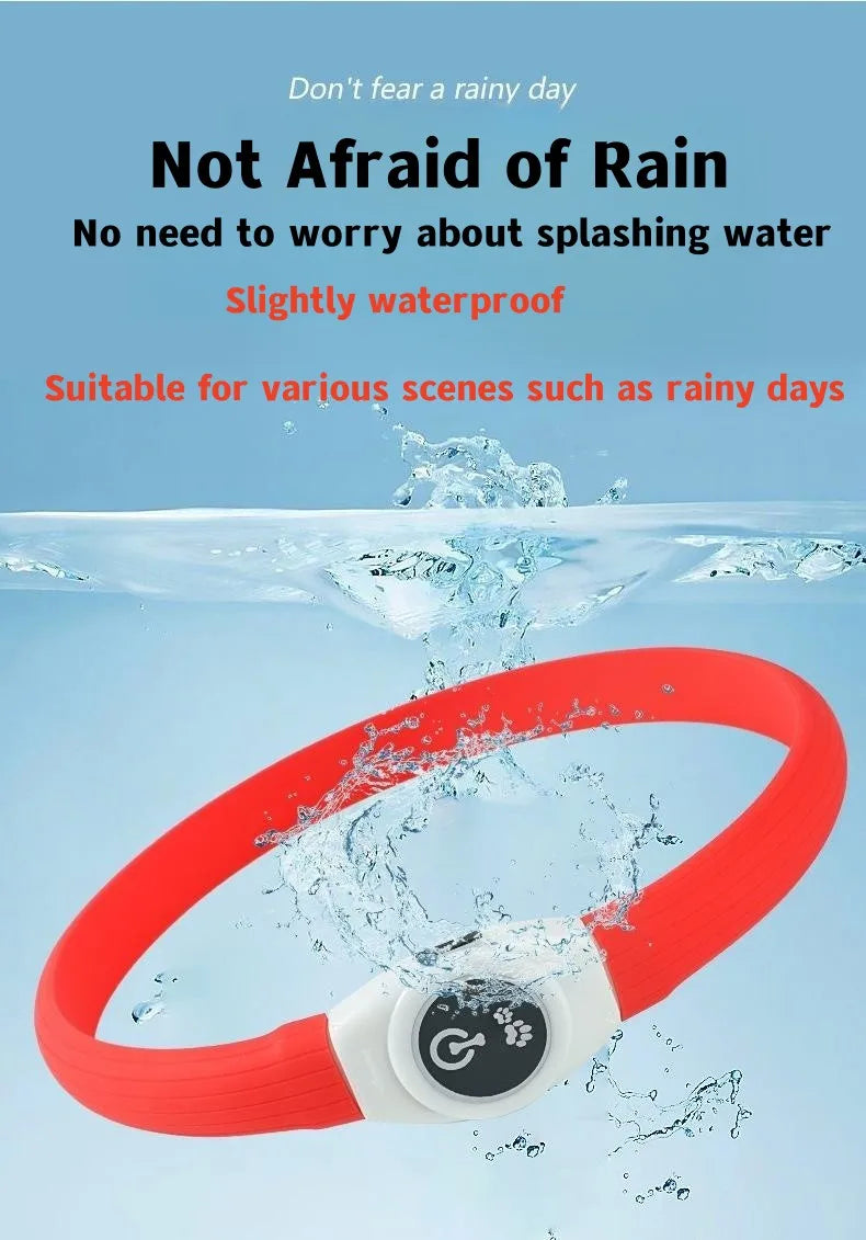 LED Luminous Dog Collar – USB Rechargeable Waterproof