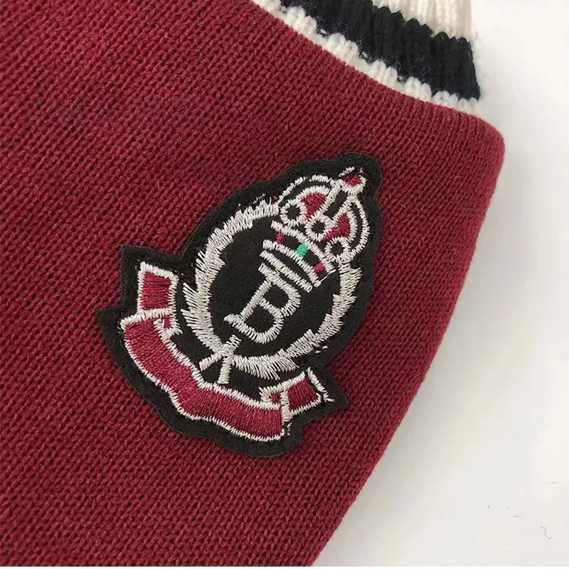 Winter V-Neck Pet Sweater