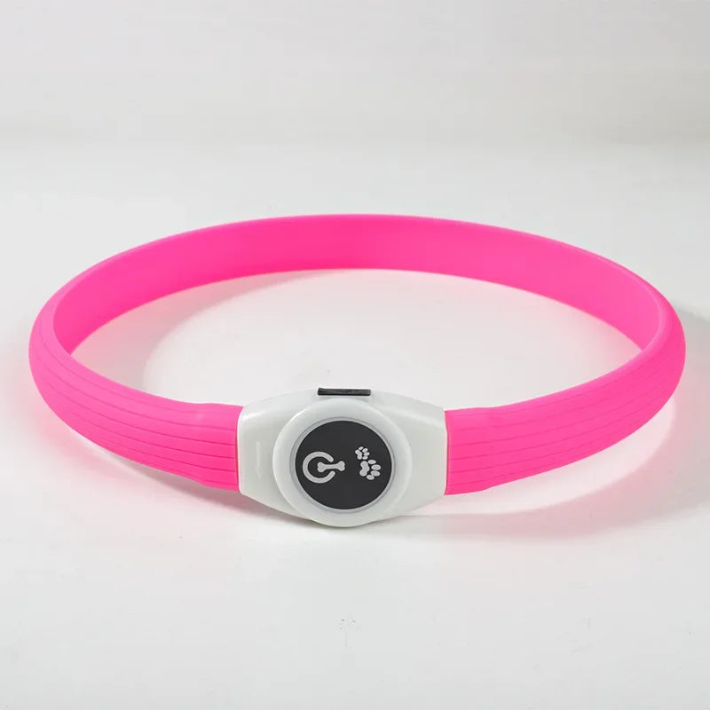 LED Luminous Dog Collar – USB Rechargeable Waterproof