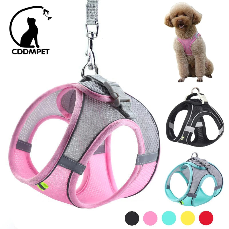 Adjustable Dog Harness & Leash Set – Small Dogs & Cats