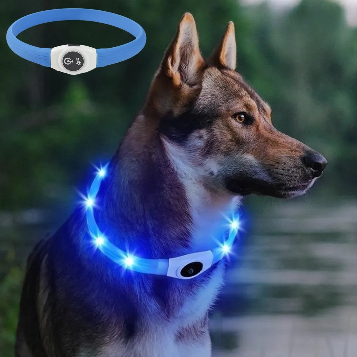 LED Luminous Dog Collar – USB Rechargeable Waterproof