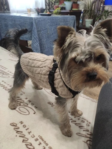 Knitted Dog & Cat Sweater