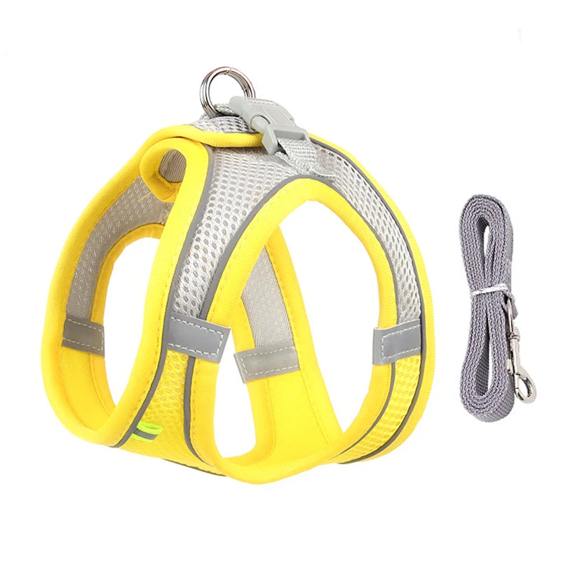 Adjustable Dog Harness & Leash Set – Small Dogs & Cats