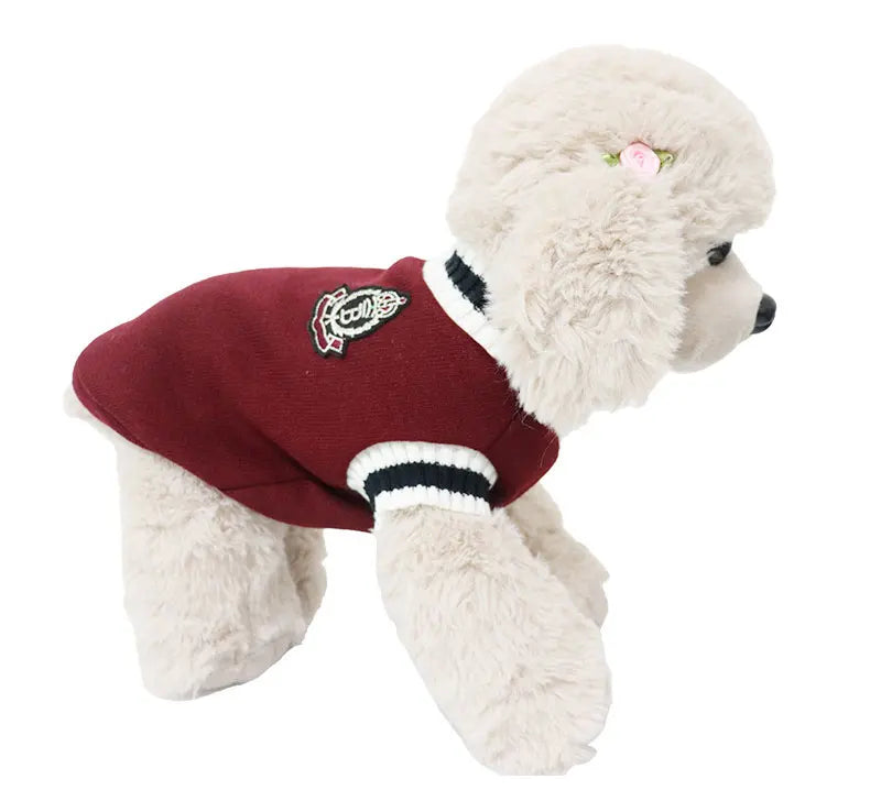 Winter V-Neck Pet Sweater
