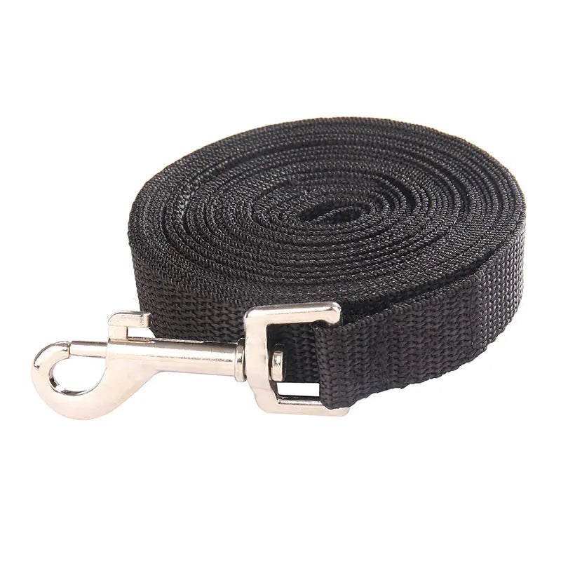 Solid Nylon Dog Leash – Long Walking & Training Lead