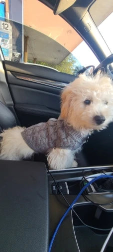 Knitted Dog & Cat Sweater