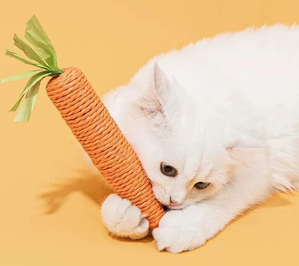 Cat Teething & Play Toy – Carrot Teaser Stick
