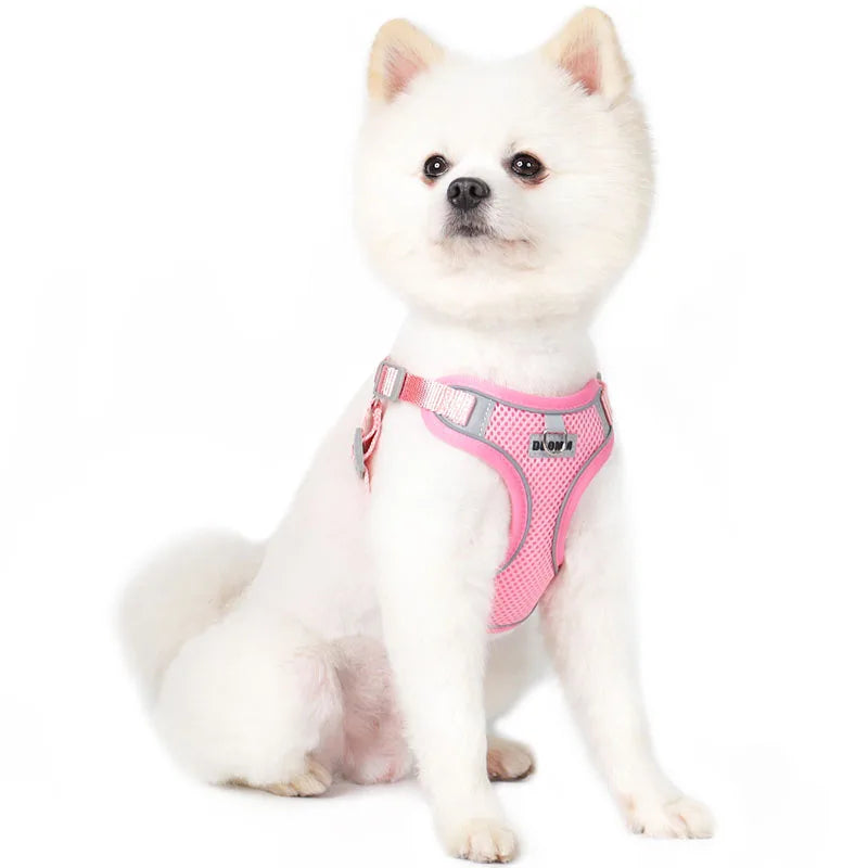 Reflective Dog Harness & Leash Set – Small & Medium Pets