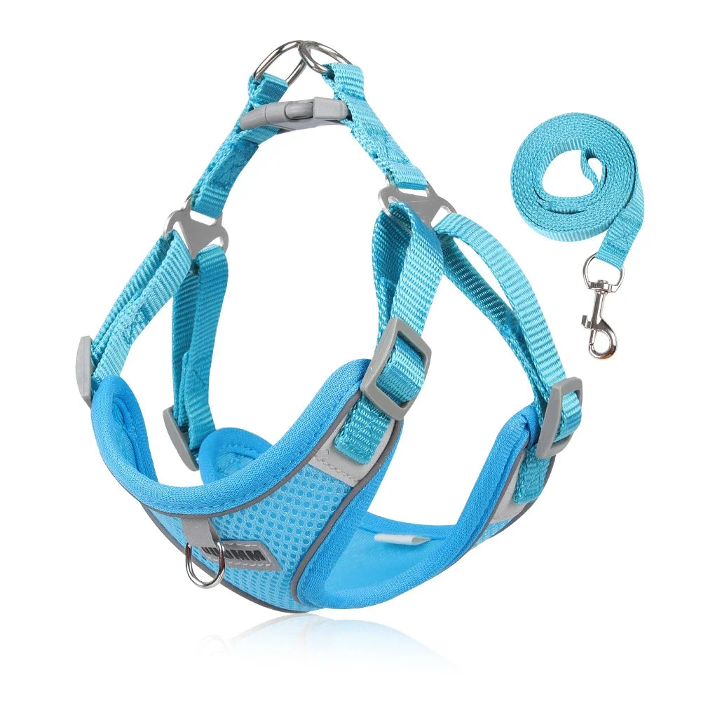 Reflective Dog Harness & Leash Set – Small & Medium Pets