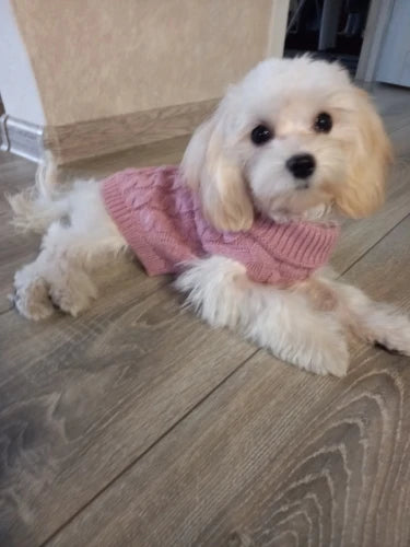 Knitted Dog & Cat Sweater