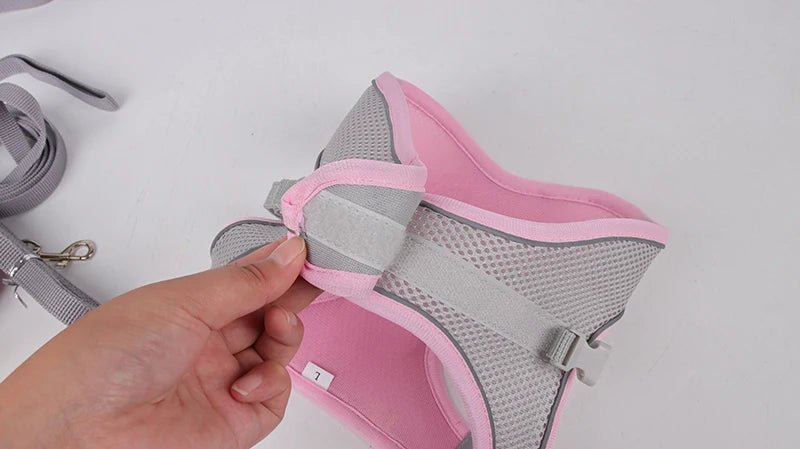 Adjustable Dog Harness & Leash Set – Small Dogs & Cats