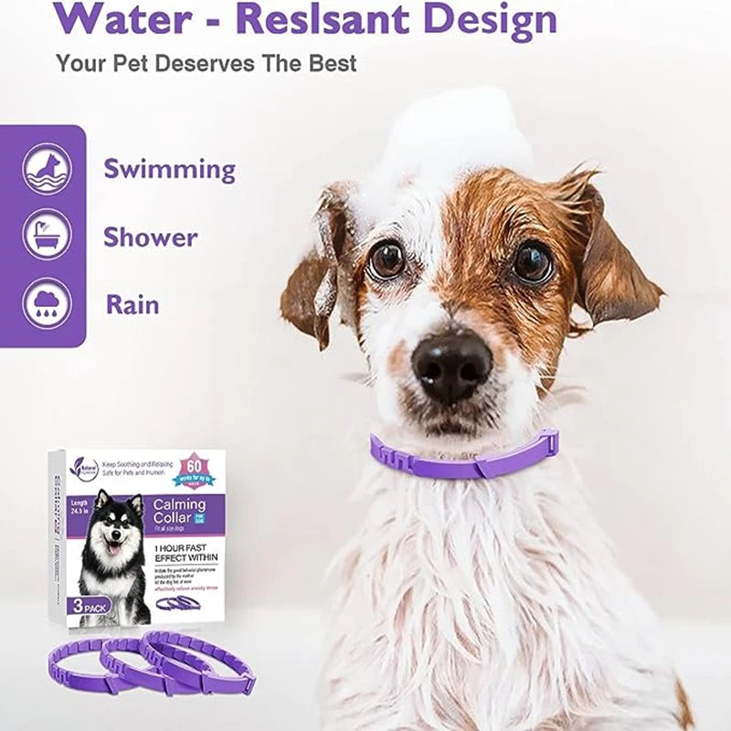 Calming Pheromone Collar