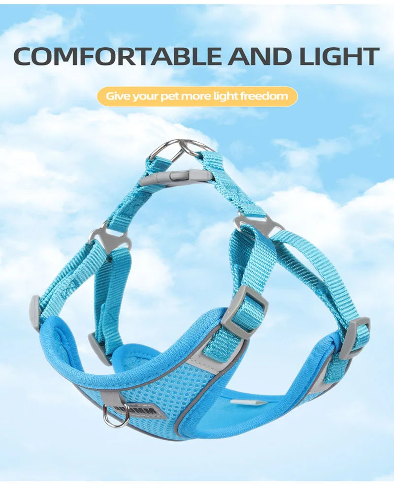 Reflective Dog Harness & Leash Set – Small & Medium Pets
