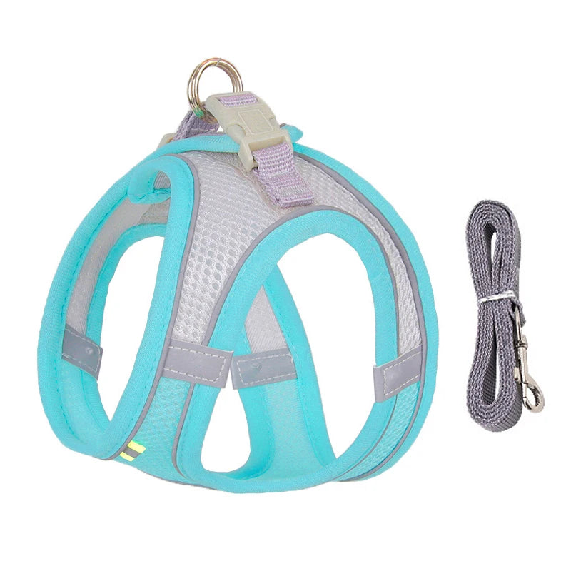 Adjustable Dog Harness & Leash Set – Small Dogs & Cats