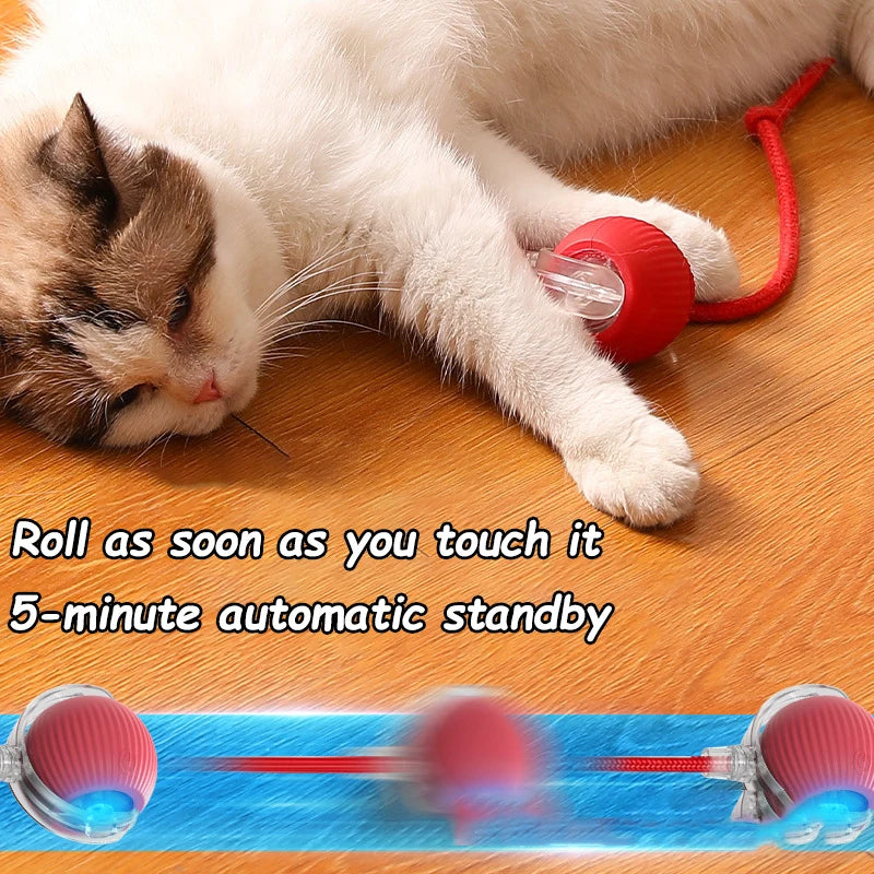 Automatic Rolling Cat & Dog Toy – Rechargeable Smart Ball