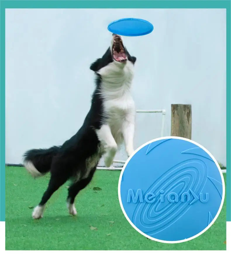 OUZEY Dog Flying Disc – Bite-Resistant Outdoor Toy