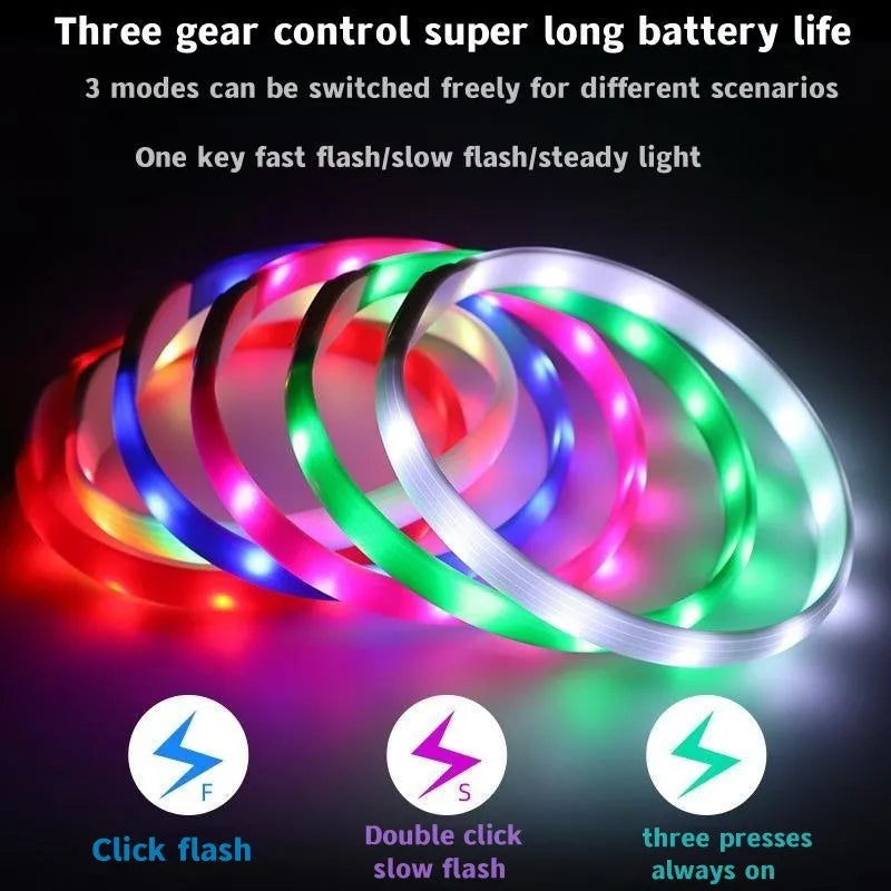 LED Luminous Dog Collar – USB Rechargeable Waterproof