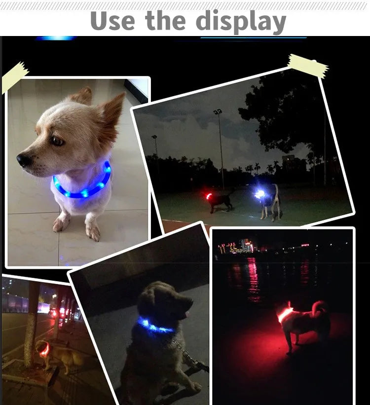 LED Luminous Dog Collar – USB Rechargeable Waterproof