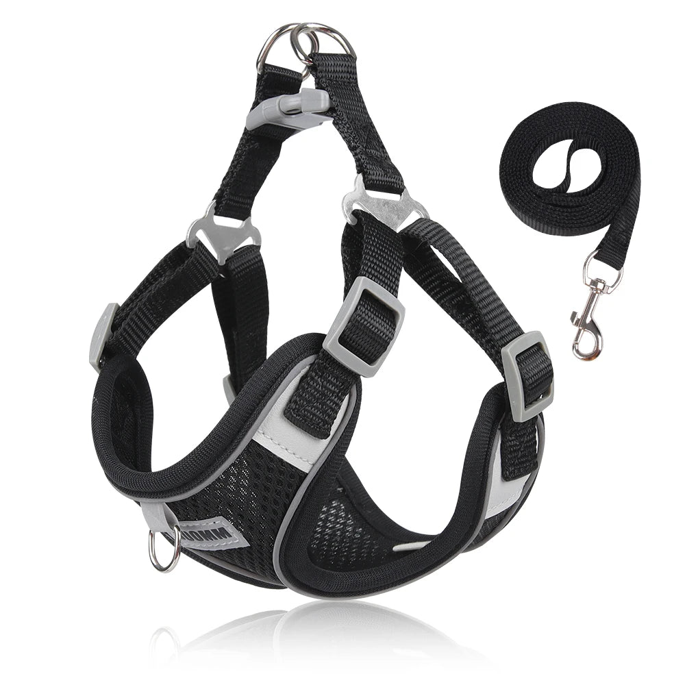Reflective Dog Harness & Leash Set – Small & Medium Pets